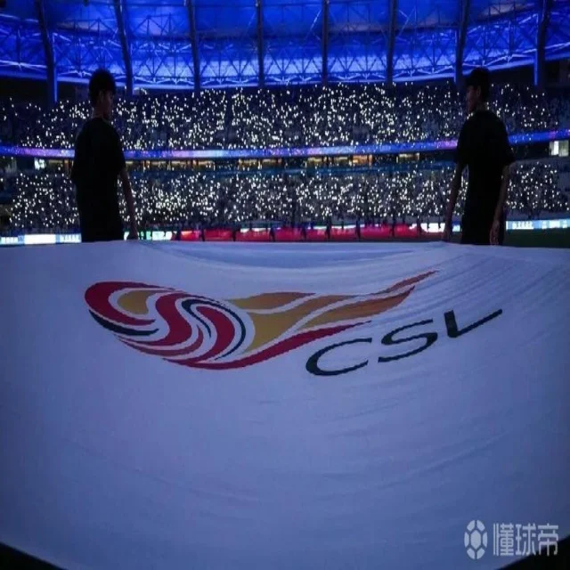 中国羽毛球队亚锦赛精彩回顾